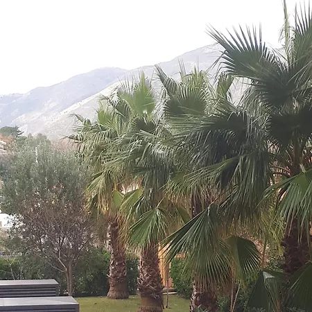 Serena - Con Giardino E Box A 10 Mt Dal Mare