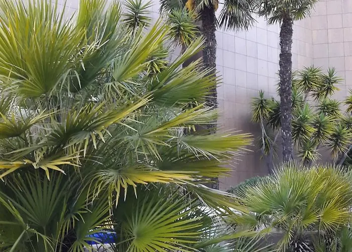 Serena - Con Giardino E Box A 10 Mt Dal Mare Apartman Ceriale